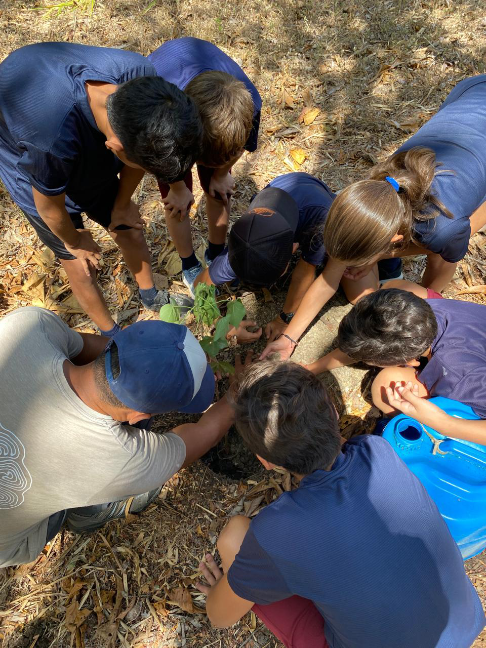 Elementary students planting trees in the Sámara community